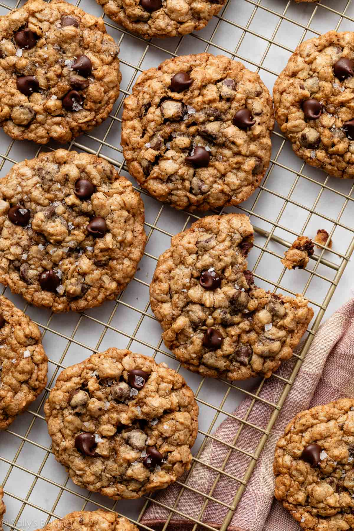 Bake Irresistible Oatmeal Chocolate Chip Cookies with Ease